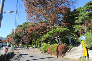 11・貫井神社・真明寺.jpg